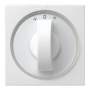 Gira Cache avec bouton rws Jalousie, System55 066627-3