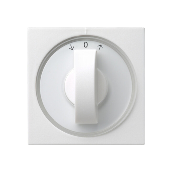 Gira Cache avec bouton rws Jalousie, System55 066627