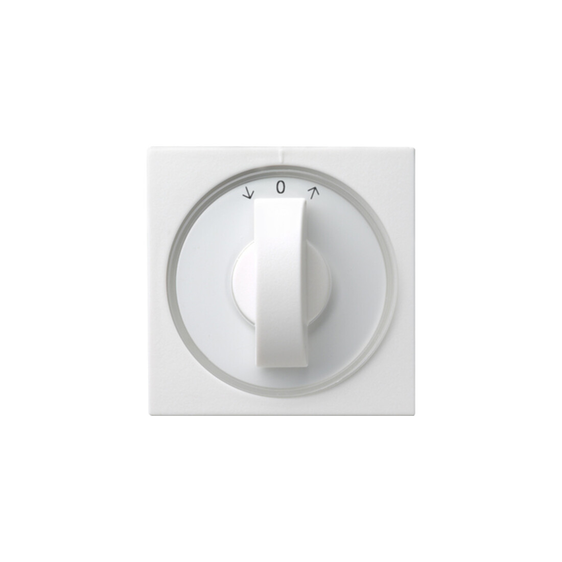 Gira Cache avec bouton rws Jalousie, System55 066627