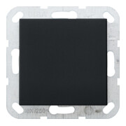 Gira Cache aveugle anneau de support noir 0268005-1