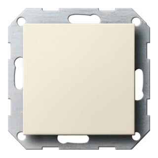 Gira Cache aveugle cws-gl avec anneau de support 026801