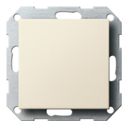 Gira Cache aveugle cws-gl avec anneau de support 026801-1