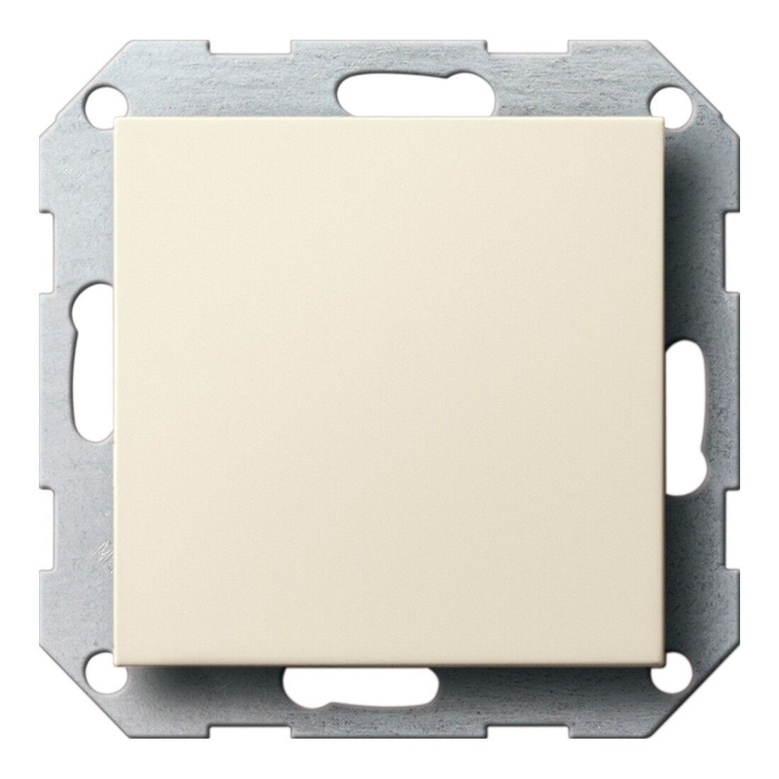 Gira Cache aveugle cws-gl avec anneau de support 026801