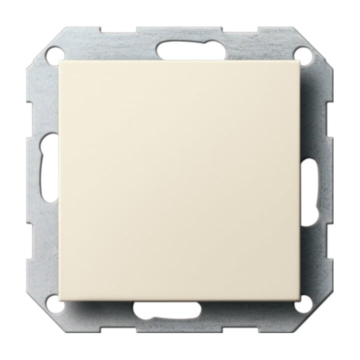 Gira Cache aveugle cws-gl avec anneau de support 026801