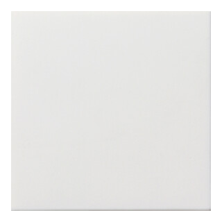 Gira Cache aveugle rws-gl 0268112