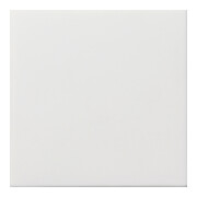 Gira Cache aveugle rws-gl 0268112-1