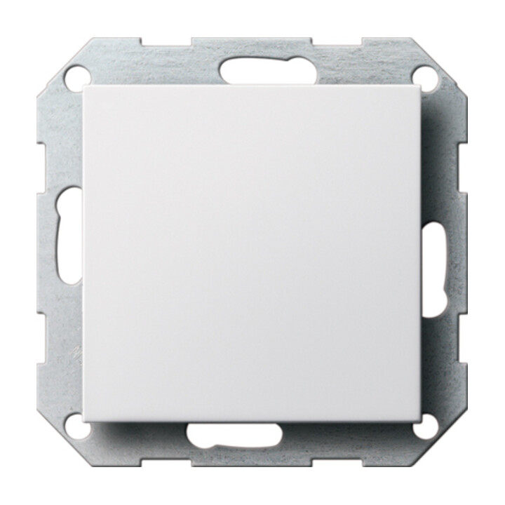 Gira Cache aveugle rws-gl avec anneau de support 026803