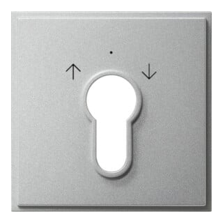 Gira Cache clé TX44 alu 066465