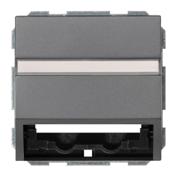 Gira Cache de protection Datentech. pour System55 087028