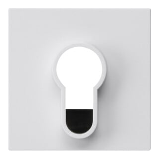 Gira Cache interrupteur à clé 866403 blanc pur brillant