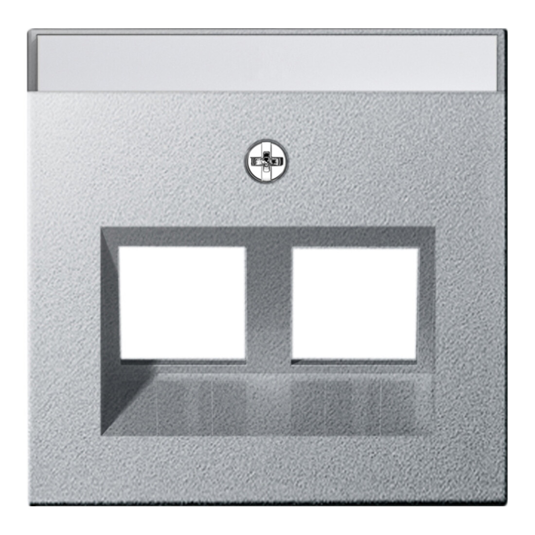 Gira Cache Modular Jack 30° 2 places alu 264026
