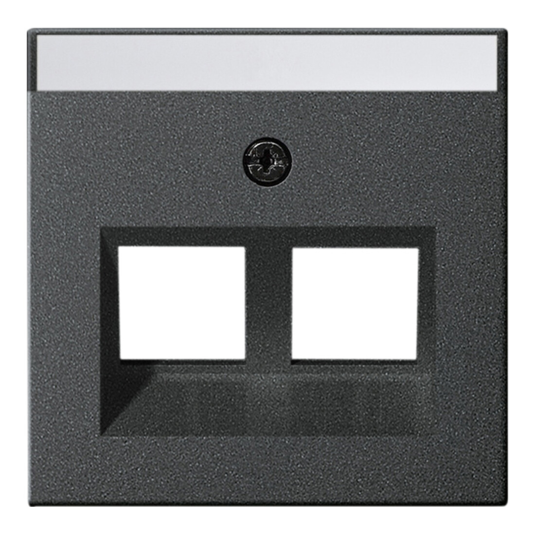 Gira Cache Modular Jack 30° 2x anthracite 264028