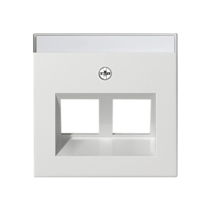 Gira Cache Modular Jack 30° 2x rws 264003