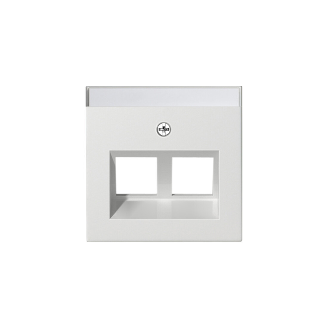 Gira Cache Modular Jack 30° 2x rws 264003
