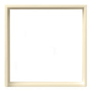 Gira Cadre adaptateur cws-gl carré 50x50mm S.55 028201-3