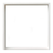 Gira Cadre adaptateur rws-gl carré 50x50 mm S.55 028203-1