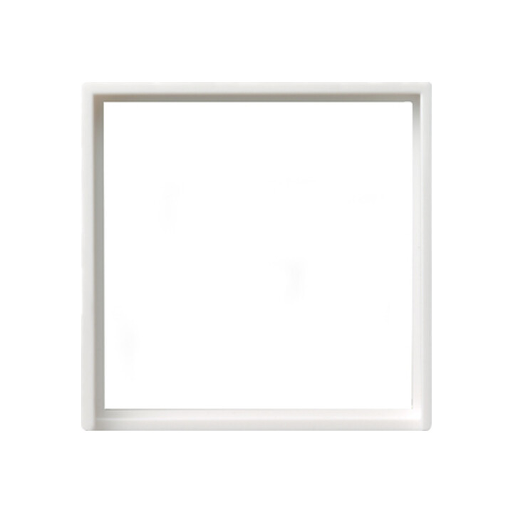 Gira Cadre adaptateur rws-gl carré 50x50 mm S.55 028203