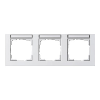 Gira Cadre de finition 3f. rws horizontal, résistant aux chocs 109329