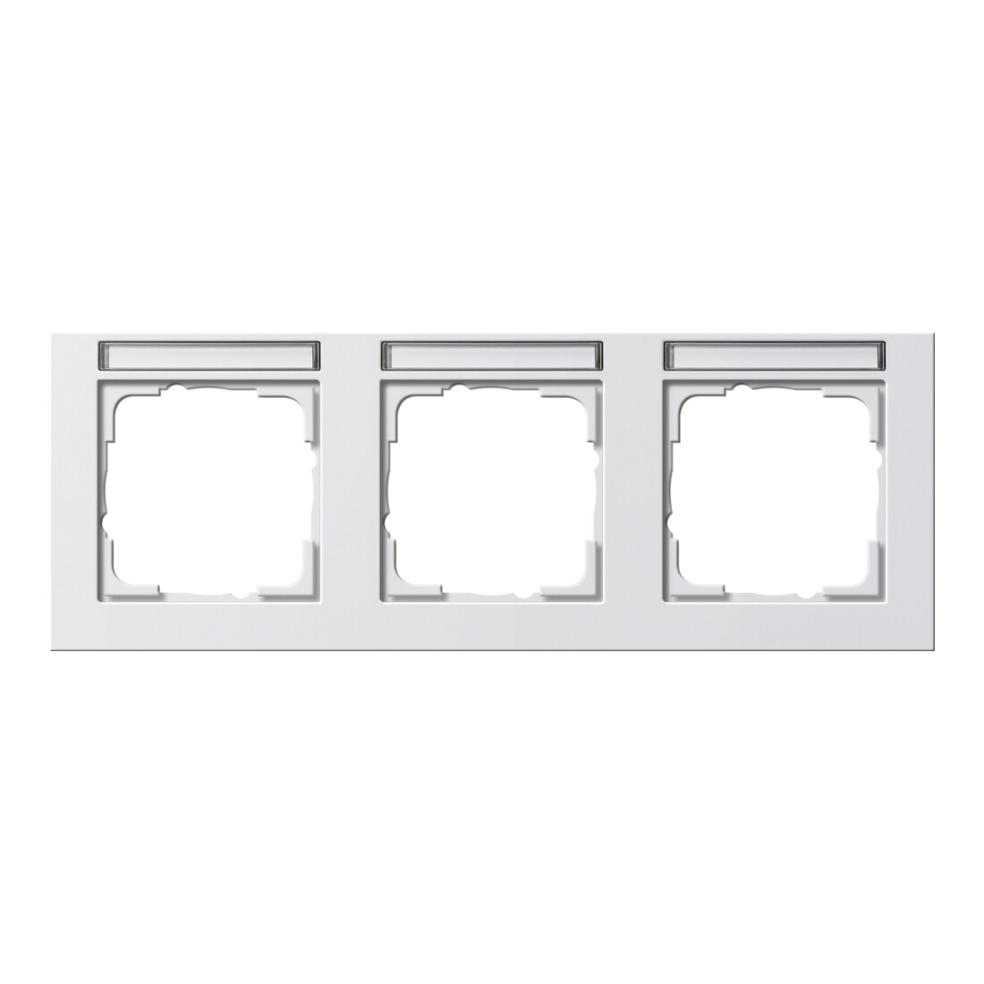 Gira Cadre de finition 3f. rws horizontal, résistant aux chocs 109329