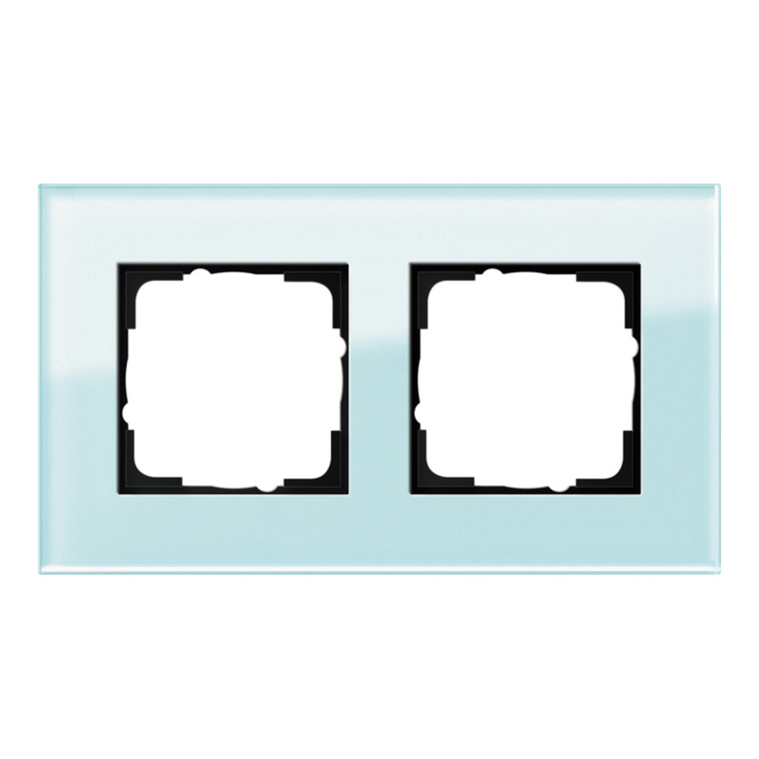 Gira Cadre de recouvrement 2 f. pour verre Esprit 021218