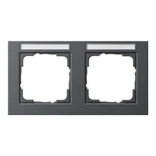 Gira Cadre de recouvrement 2f. anthracite horizontal, résistant aux chocs 109223