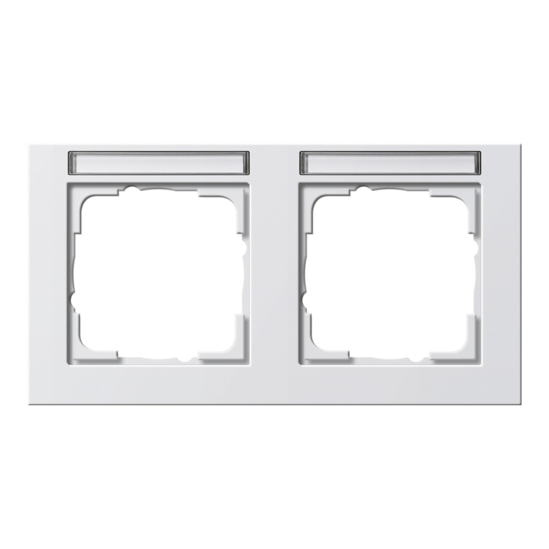 Gira Cadre de recouvrement 2f. rws horizontal, résistant aux chocs 109229