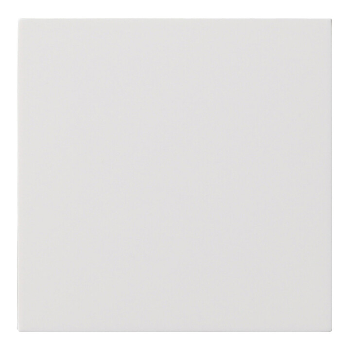 Gira Commande à bouton-poussoir rws 5360112