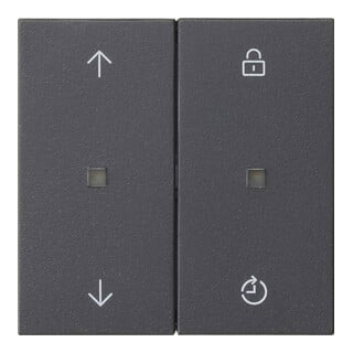 Gira Commande radio Mem.Pfeile anthracite 549228