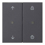 Gira Commande radio Mem.Pfeile anthracite 549228-1