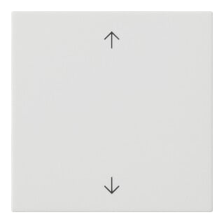 Gira Commande supérieure rws symboles fléchés 536127