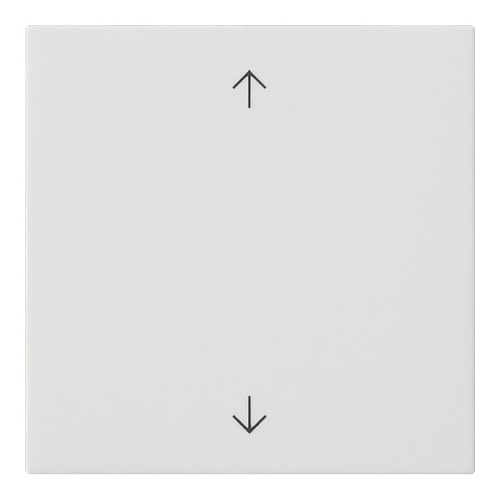Gira Commande supérieure rws symboles fléchés 536127