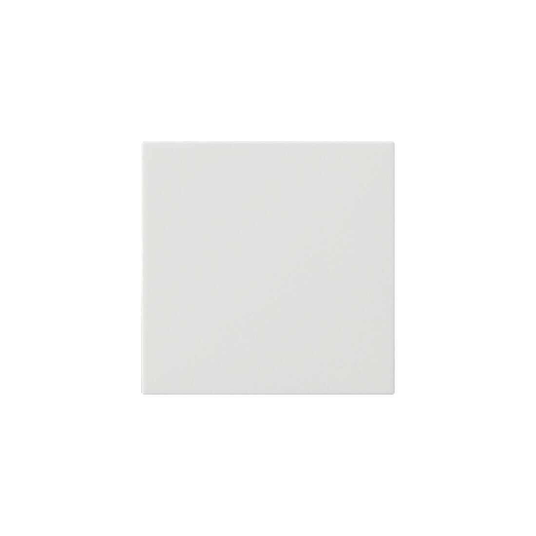Gira Commande supérieure système rws 536003