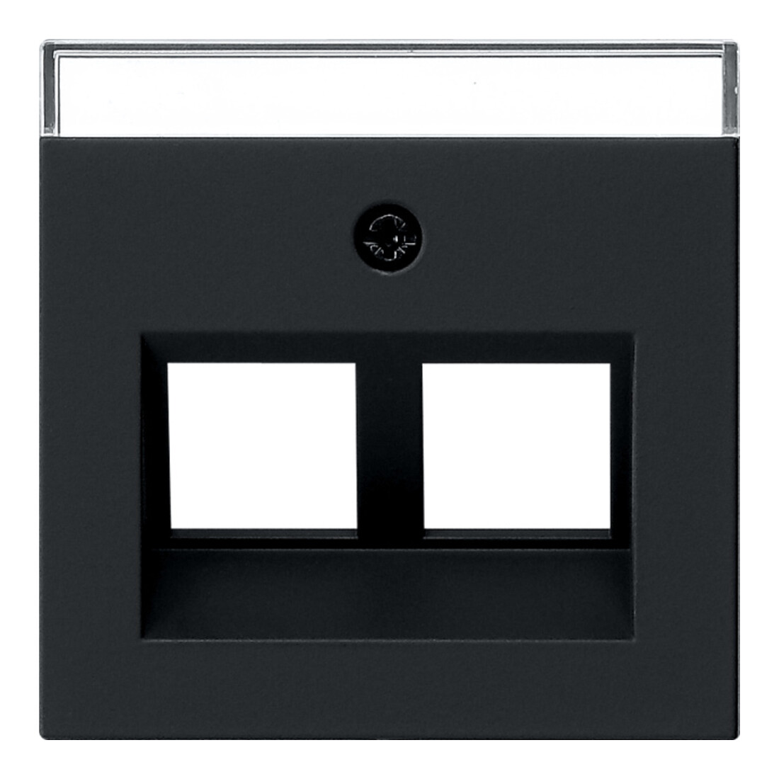 Gira Couvercle noir 30° avec BSF pour anneau porteur 2640005