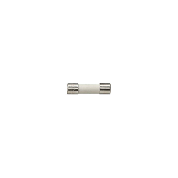 Gira Ersatzsicherung 2,5A T 049732