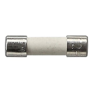 Gira Fusible T2 H 250 V 049806