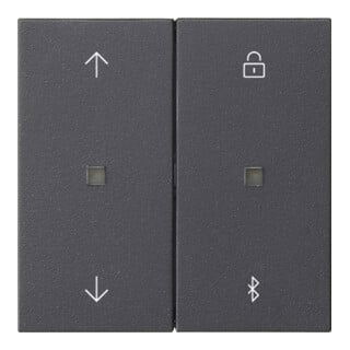 Gira Horloge volet roulant et commutateur Bluetooth Sys.55 Ant 536728