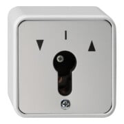 Gira Interrupteur à clé à 2 pôles, AP-WG 014430-1