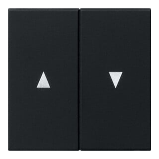 Gira Interrupteur bascule 2x noir avec symbole flèche 0294005