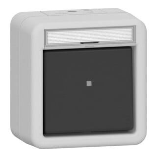 Gira Interrupteur bascule fermant sMK BSF WG AP Gris 315230