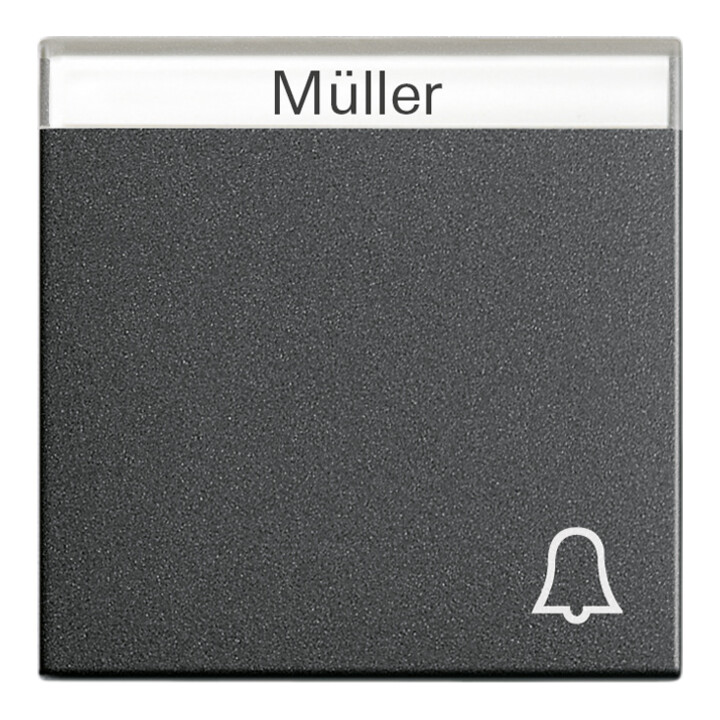 Gira Interrupteur de sonnette anthracite avec inscription, System55 067328