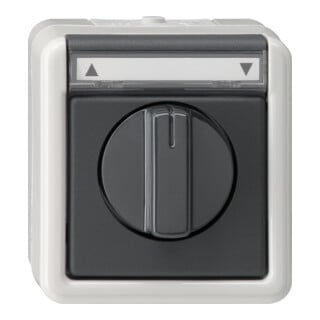Gira Interrupteur/poussoir volet roulant grAP-WG 015430