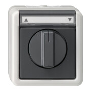 Gira Interrupteur/poussoir volet roulant grAP-WG 015430-1