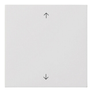 Gira Interrupteur simple blanc pur 5389112