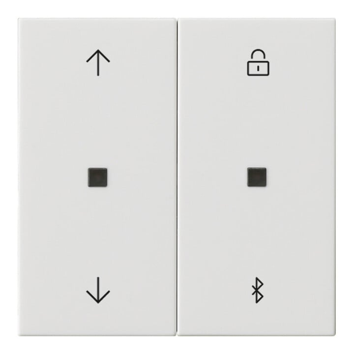 Gira Jalousie- + Schaltuhr Bluetooth Sys.55 rws 536703