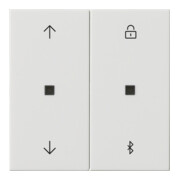 Gira Jalousie- + Schaltuhr Bluetooth Sys.55 rws 536703-3