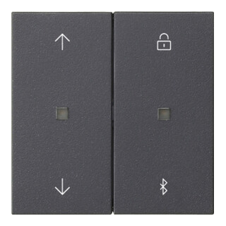 Gira Jalousie- und Schaltuhr Bluetooth Sys.55 Ant 536728