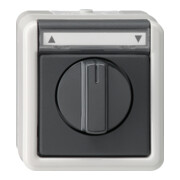 Gira Jalousietaster/Schalter grAP-WG 015430-3