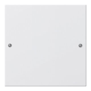 Gira Jeu d'interrupteur 1 module blanc pur 218103