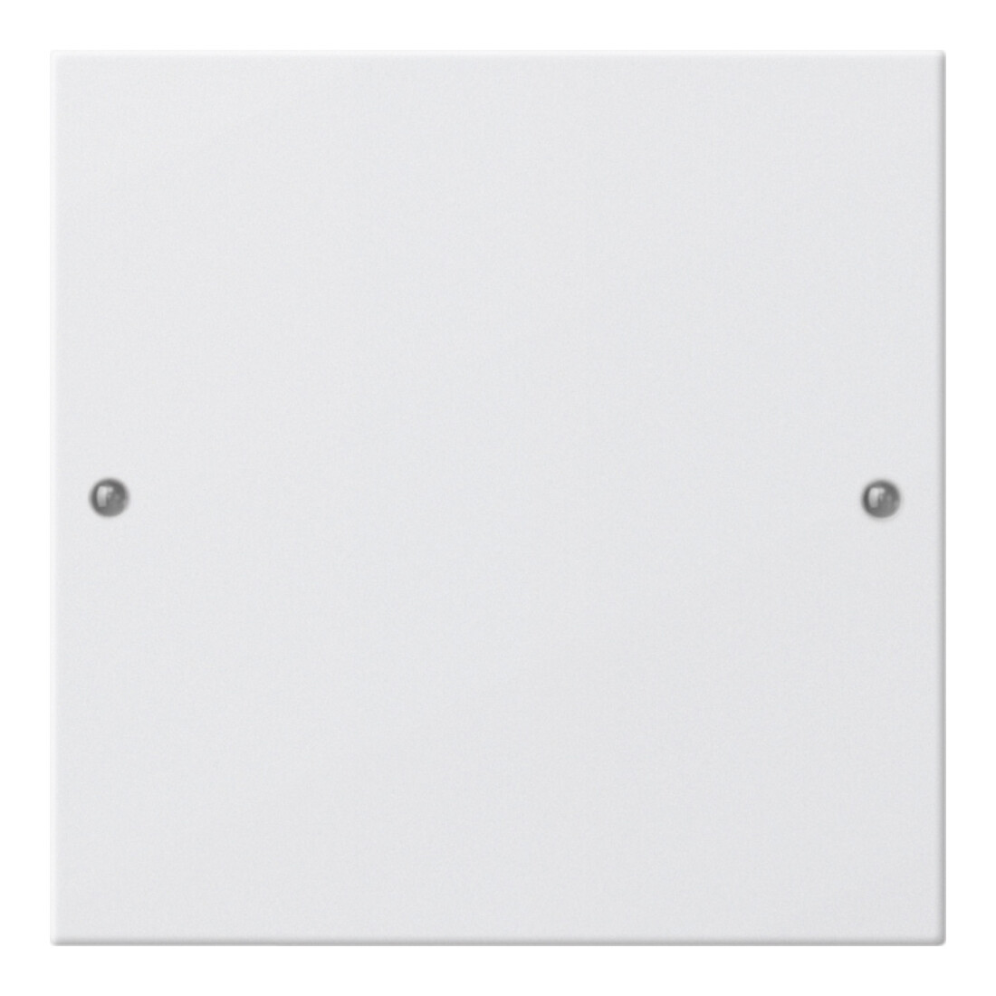 Gira Jeu d'interrupteur 1 module blanc pur 218103
