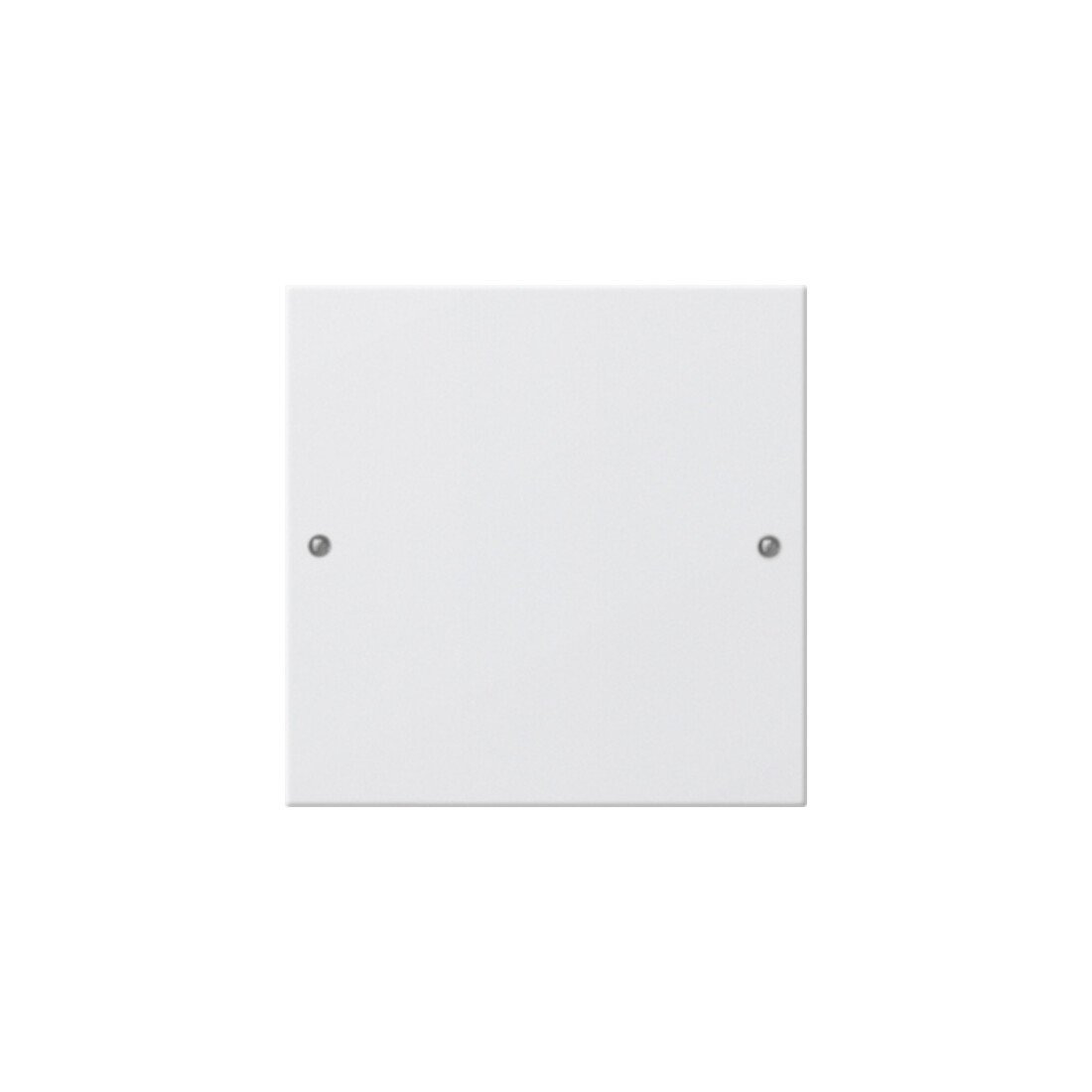 Gira Jeu d'interrupteur 1 module blanc pur 218103